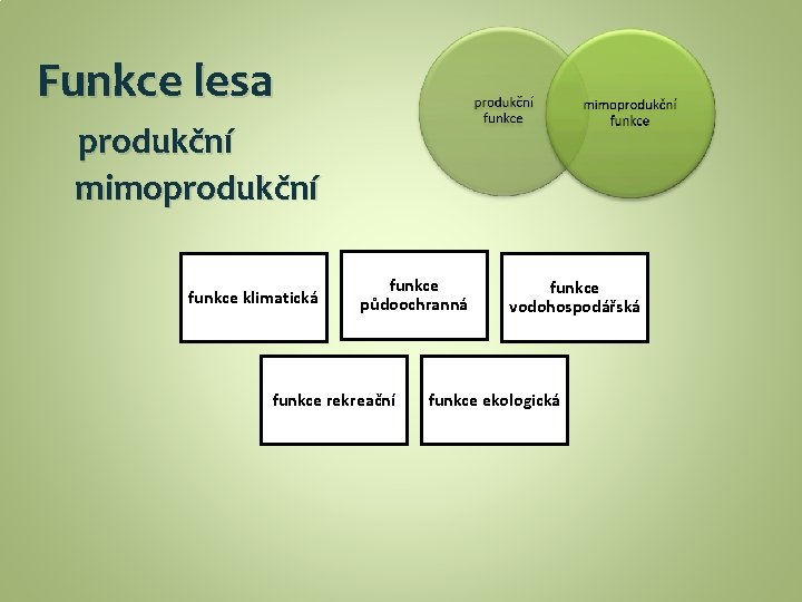 Funkce lesa produkční mimoprodukční funkce klimatická funkce půdoochranná funkce rekreační funkce vodohospodářská funkce ekologická