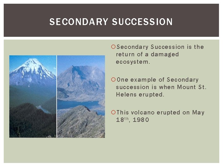 SECONDARY SUCCESSION Secondary Succession is the return of a damaged ecosystem. One example of