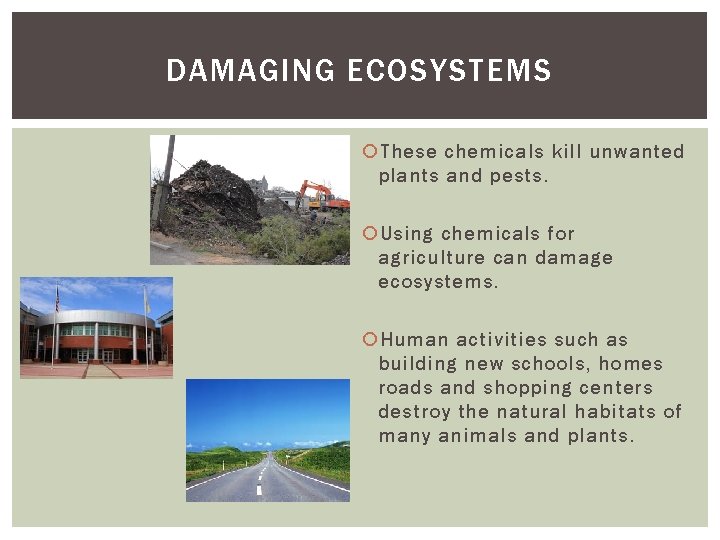 DAMAGING ECOSYSTEMS These chemicals kill unwanted plants and pests. Using chemicals for agriculture can
