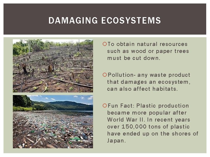 DAMAGING ECOSYSTEMS To obtain natural resources such as wood or paper trees must be