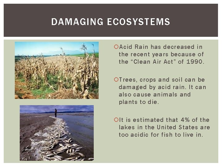 DAMAGING ECOSYSTEMS Acid Rain has decreased in the recent years because of the “Clean