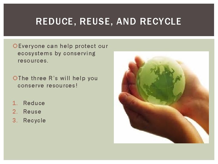 REDUCE, REUSE, AND RECYCLE Everyone can help protect our ecosystems by conserving resources. The