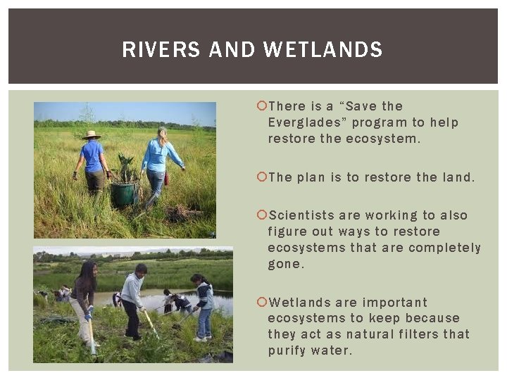 RIVERS AND WETLANDS There is a “Save the Everglades” program to help restore the