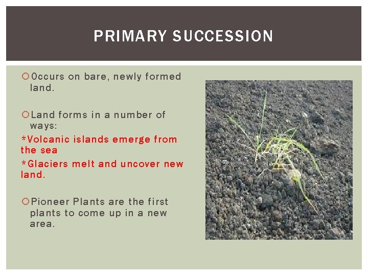 PRIMARY SUCCESSION Occurs on bare, newly formed land. Land forms in a number of