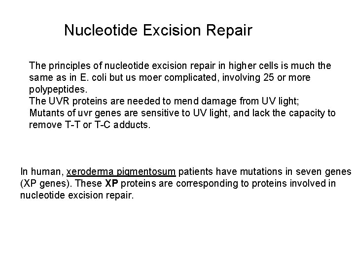 Nucleotide Excision Repair The principles of nucleotide excision repair in higher cells is much