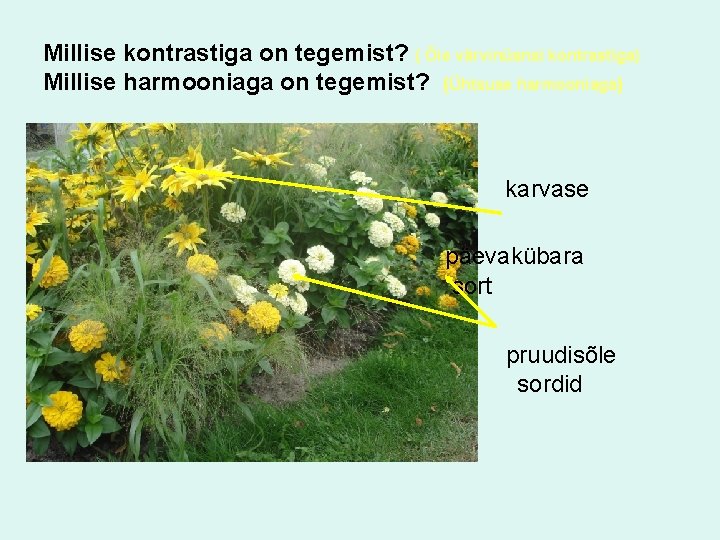 Millise kontrastiga on tegemist? ( Õie värvinüansi kontrastiga) Millise harmooniaga on tegemist? (Ühtsuse harmooniaga)