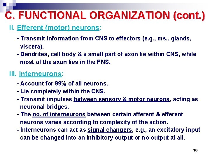 C. FUNCTIONAL ORGANIZATION (cont. ) II. Efferent (motor) neurons: - Transmit information from CNS