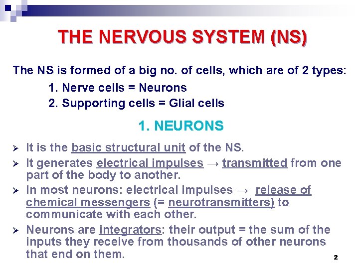 THE NERVOUS SYSTEM (NS) The NS is formed of a big no. of cells,