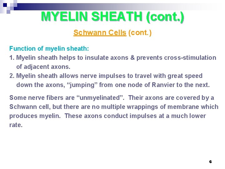 MYELIN SHEATH (cont. ) Schwann Cells (cont. ) Function of myelin sheath: 1. Myelin