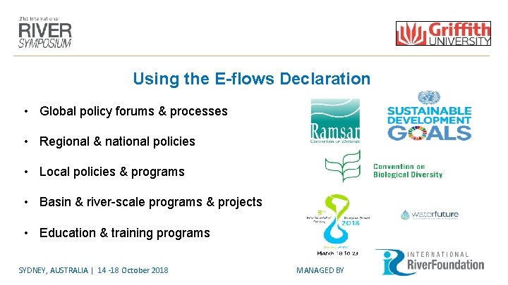 Using the E-flows Declaration • Global policy forums & processes • Regional & national