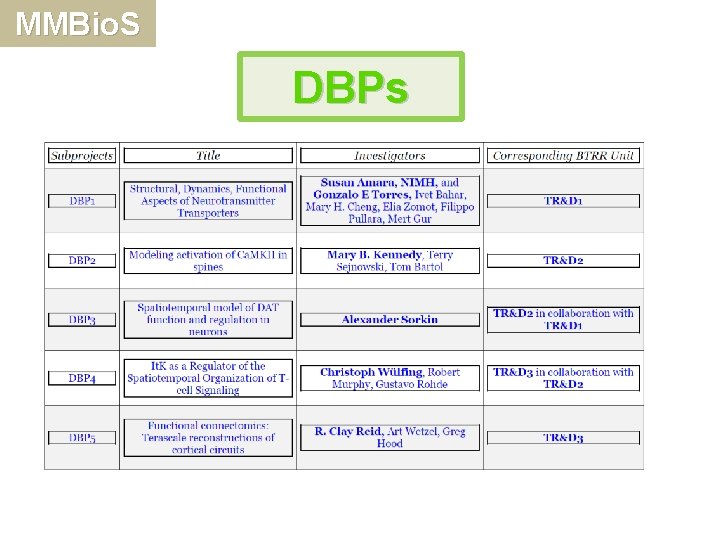 MMBio. S DBPs 