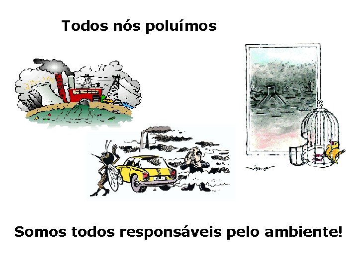 Todos nós poluímos Somos todos responsáveis pelo ambiente! 