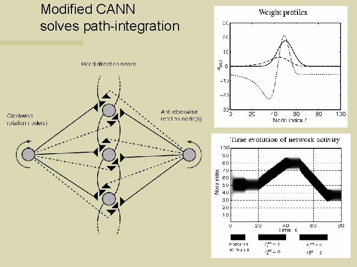 Modified CANN solves path-integration 