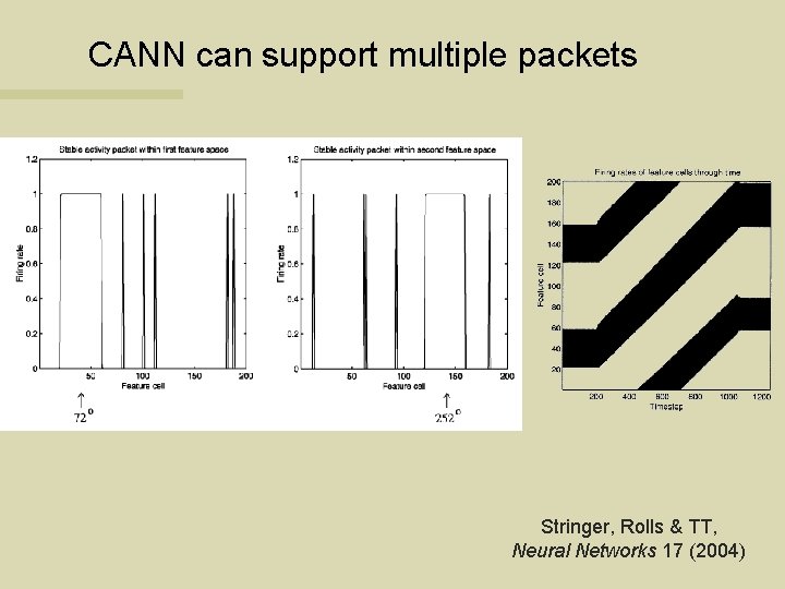 CANN can support multiple packets Stringer, Rolls & TT, Neural Networks 17 (2004) 