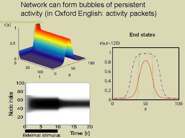 Network can form bubbles of persistent activity (in Oxford English: activity packets) End states