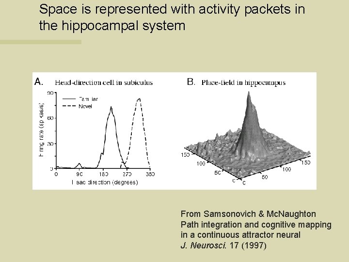 Space is represented with activity packets in the hippocampal system From Samsonovich & Mc.