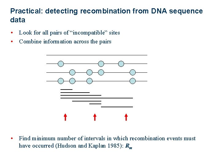 Practical: detecting recombination from DNA sequence data • Look for all pairs of “incompatible”