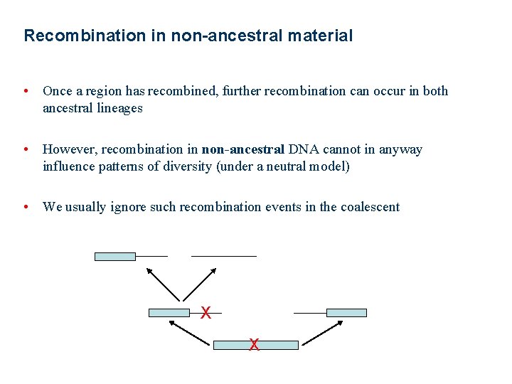 Recombination in non-ancestral material • Once a region has recombined, further recombination can occur