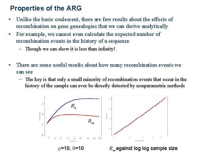 Properties of the ARG • Unlike the basic coalescent, there are few results about