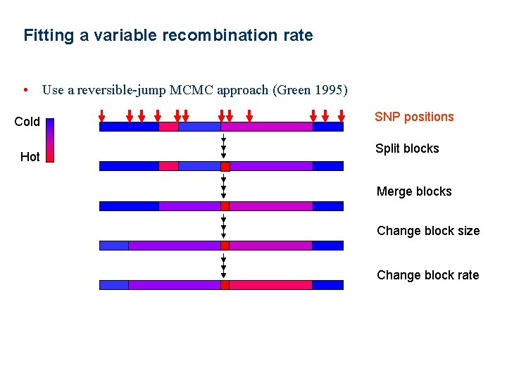 Fitting a variable recombination rate • Use a reversible-jump MCMC approach (Green 1995) Cold