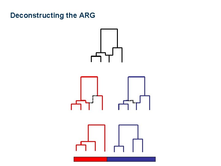 Deconstructing the ARG 