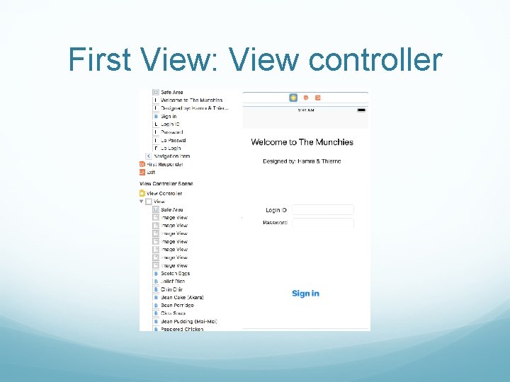 First View: View controller The first view. The view controller 