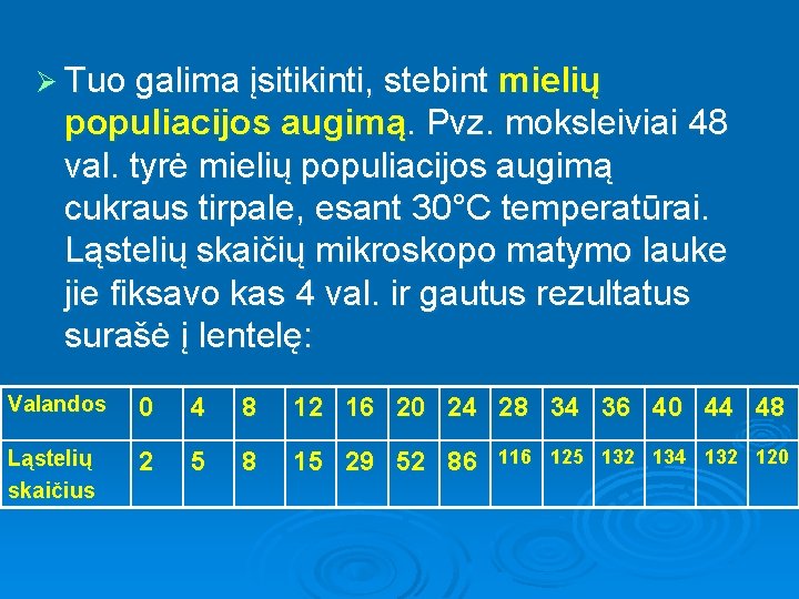 Ø Tuo galima įsitikinti, stebint mielių populiacijos augimą. Pvz. moksleiviai 48 val. tyrė mielių