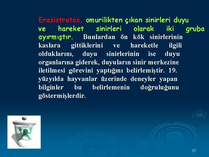Erasistratos, omurilikten çıkan sinirleri duyu ve hareket sinirleri olarak iki gruba ayırmıştır. Bunlardan ön