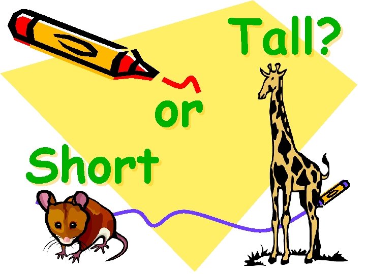 Tall? or Short 