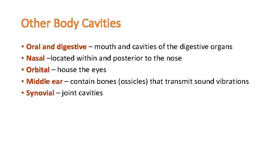 Other Body Cavities • Oral and digestive – mouth and cavities of the digestive