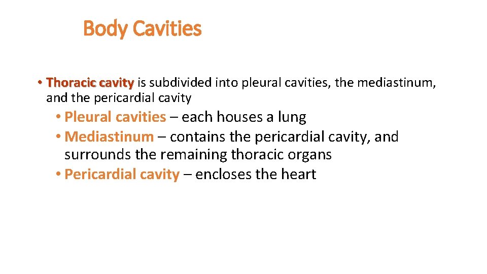 Body Cavities • Thoracic cavity is subdivided into pleural cavities, the mediastinum, and the