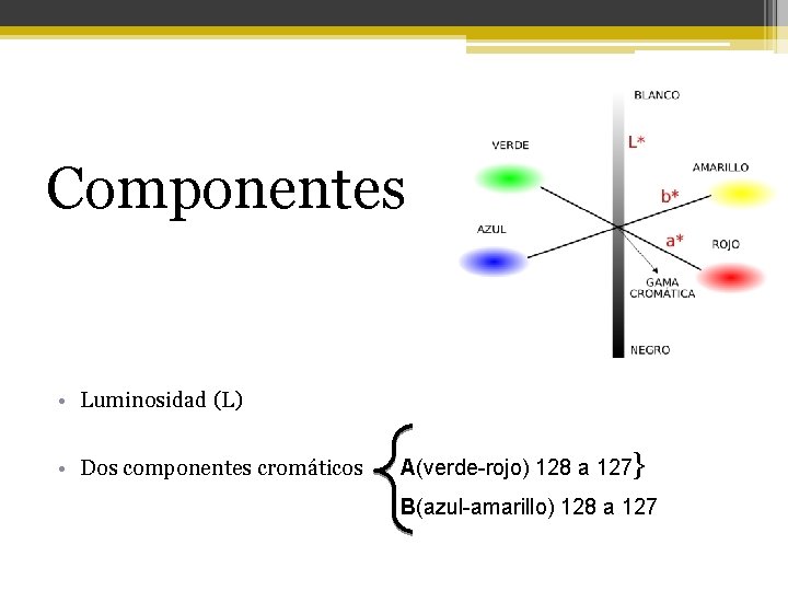 Componentes • Luminosidad (L) • Dos componentes cromáticos A(verde-rojo) 128 a 127} B(azul-amarillo) 128