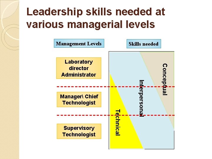 Leadership skills needed at various managerial levels Management Levels Skills needed ﺍﻟﻤﻬﺎﺭﺍﺕ ﺍﻻﻧﺴﺎﻧﻴﺔ Technical