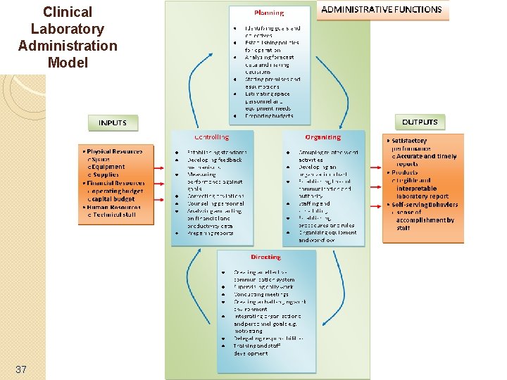 Clinical Laboratory Administration Model 37 