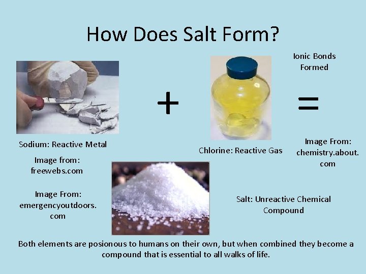 How Does Salt Form? Ionic Bonds Formed + Sodium: Reactive Metal Image from: freewebs.