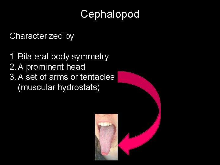 Cephalopod Characterized by 1. Bilateral body symmetry 2. A prominent head 3. A set