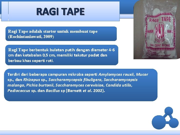RAGI TAPE Ragi Tape adalah starter untuk membuat tape (Rochintaniawati, 2009) Ragi Tape berbentuk