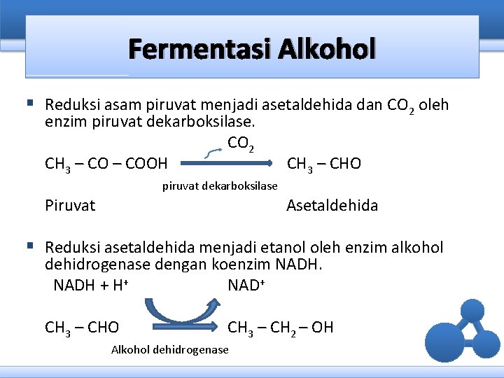 Fermentasi Alkohol § Reduksi asam piruvat menjadi asetaldehida dan CO 2 oleh enzim piruvat