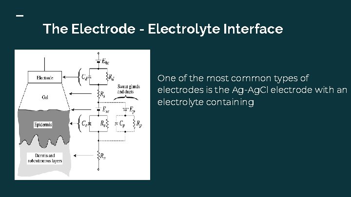 The Electrode - Electrolyte Interface One of the most common types of electrodes is