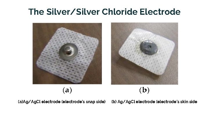 The Silver/Silver Chloride Electrode (a)Ag/Ag. Cl electrode (electrode’s snap side) (b) Ag/Ag. Cl electrode