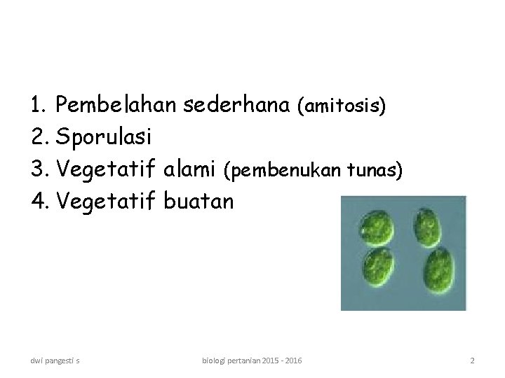 1. Pembelahan sederhana (amitosis) 2. Sporulasi 3. Vegetatif alami (pembenukan tunas) 4. Vegetatif buatan