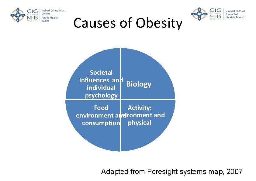 Causes of Obesity Societal influences and Biology individual psychology Activity: Food and environment and