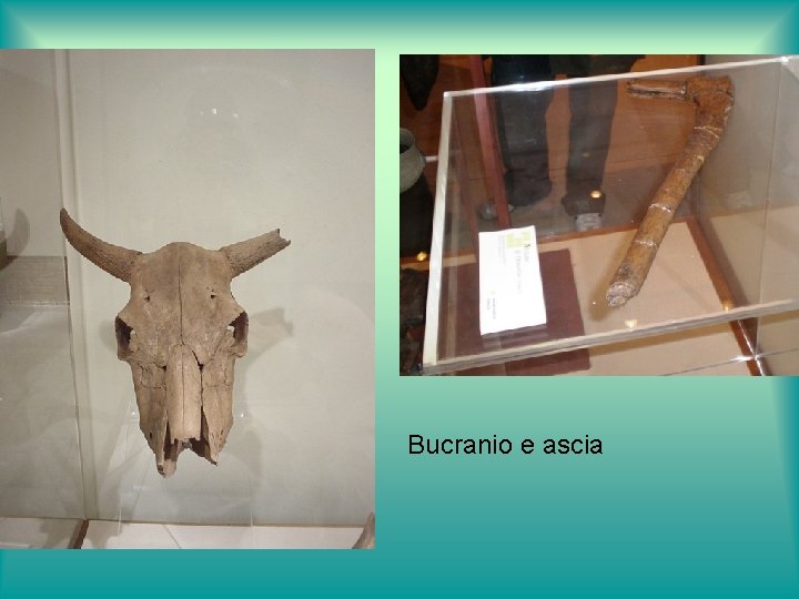 Bucranio e ascia 