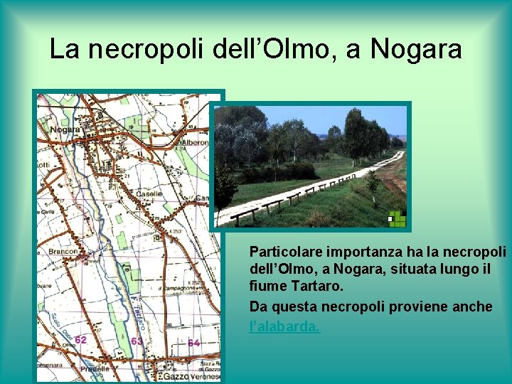 La necropoli dell’Olmo, a Nogara Particolare importanza ha la necropoli dell’Olmo, a Nogara, situata