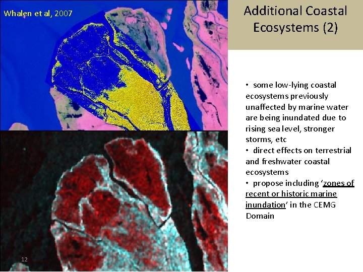 Whalen et al, 2007 Additional Coastal Ecosystems (2) • some low-lying coastal ecosystems previously