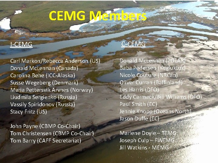 CEMG Members I-CEMG C-CEMG Carl Markon/Rebecca Anderson (US) Donald Mc. Lennan (Canada) Carolina Behe
