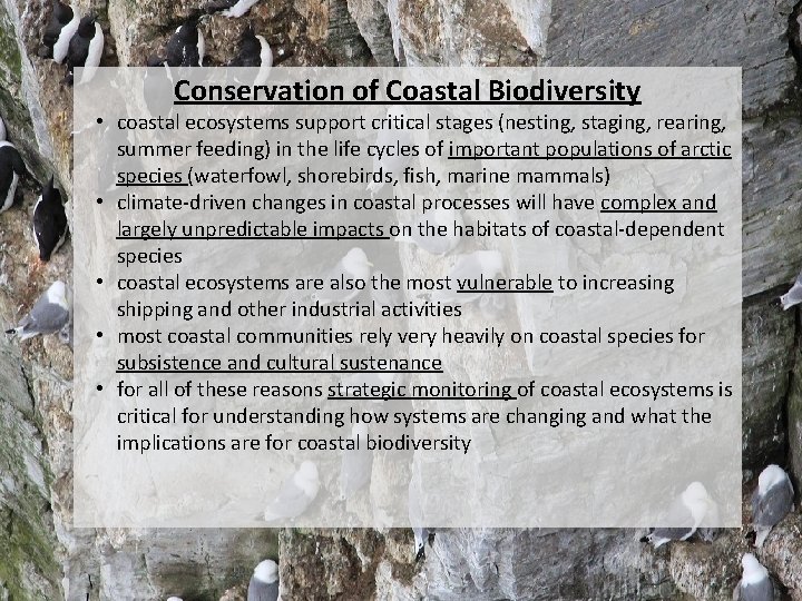 Overview Conservation of Coastal Biodiversity • coastal ecosystems support critical stages (nesting, staging, rearing,