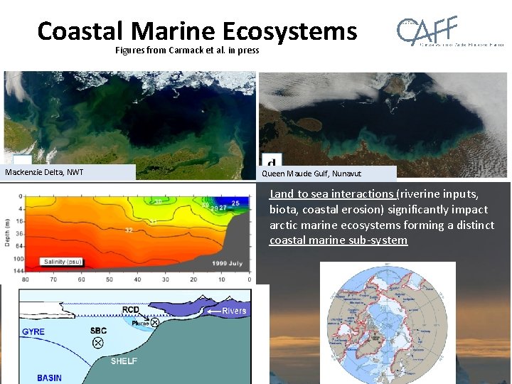 Coastal Marine Ecosystems Figures from Carmack et al. in press Mackenzie Delta, NWT Queen