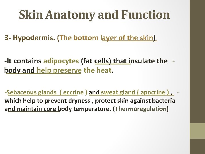 Skin Anatomy and Function 3 - Hypodermis. (The bottom layer of the skin). -It