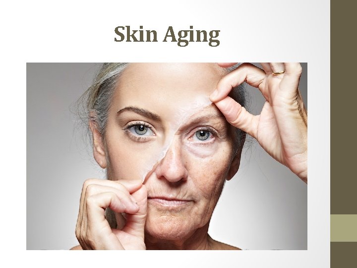 Skin Aging 